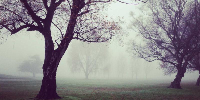 2024家居建材新趋势：从家具定制到整体设计，打造个性化生活空间