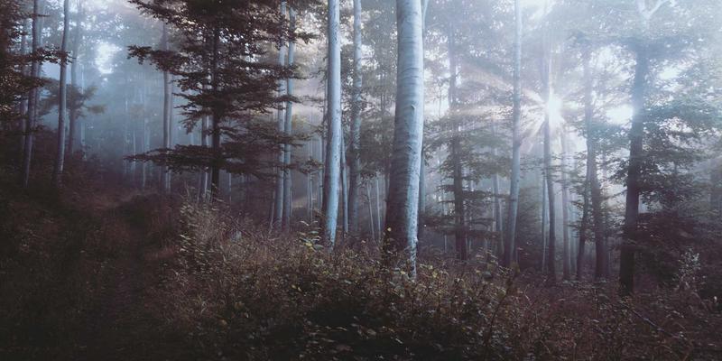 2024年环保家居建材选购指南：筑家家居教你辨别真正的绿色材料