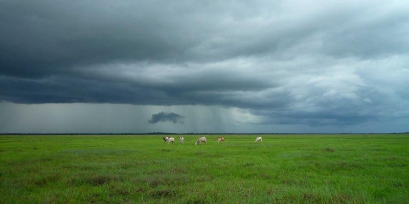 家具定制与室内设计新趋势：全屋灯光设计中的建材选择指南
