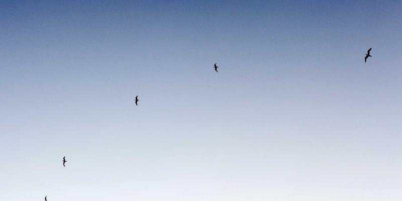 家具定制如何重塑室内设计？探索家居建材的融合创新