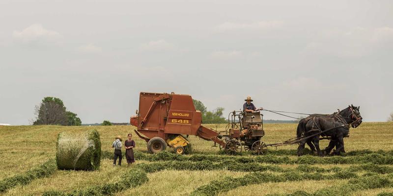 家具定制必看！筑家家居教你读懂国标E级、ENF级与F4星认证，科学挑选健康环保板材