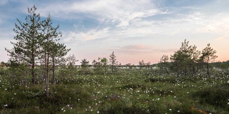 家具定制板材怎么选？筑家家居深度解析颗粒板、多层板与实木的优劣