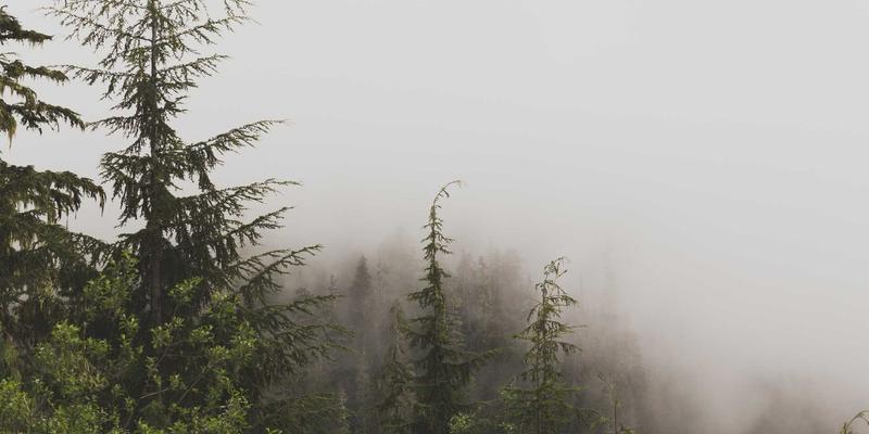 家居光影艺术：专业装修服务如何用磁吸轨道灯打造高级感无主灯设计