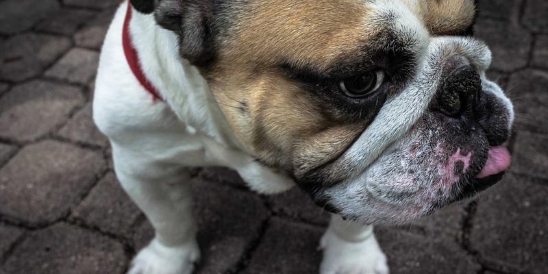 家装防水工程全攻略：从室内设计到家具定制，卫生间厨房防水材料怎么选？