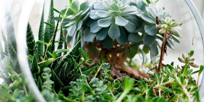 筑家家居专业解析：旧房翻新墙面基层处理材料与工艺全攻略