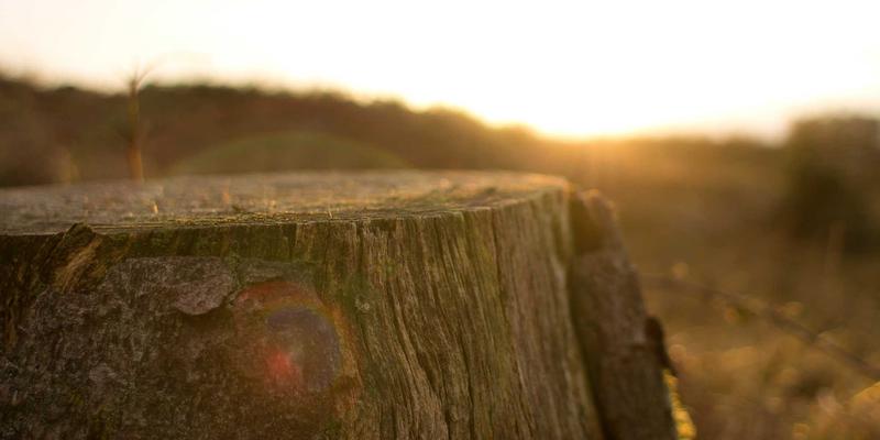 筑家家居：室内设计中的照明艺术，如何通过建材融合打造高级光环境