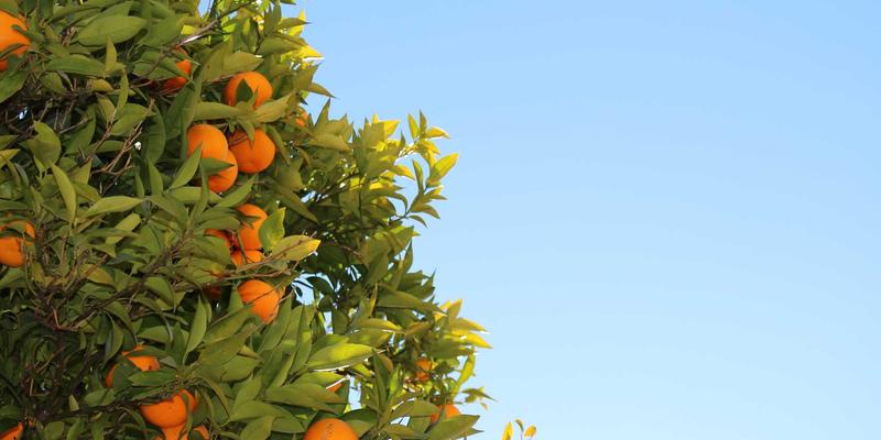 筑家家居深度解析：卫生间防水工程全攻略，从涂料选择到闭水试验的标准化流程